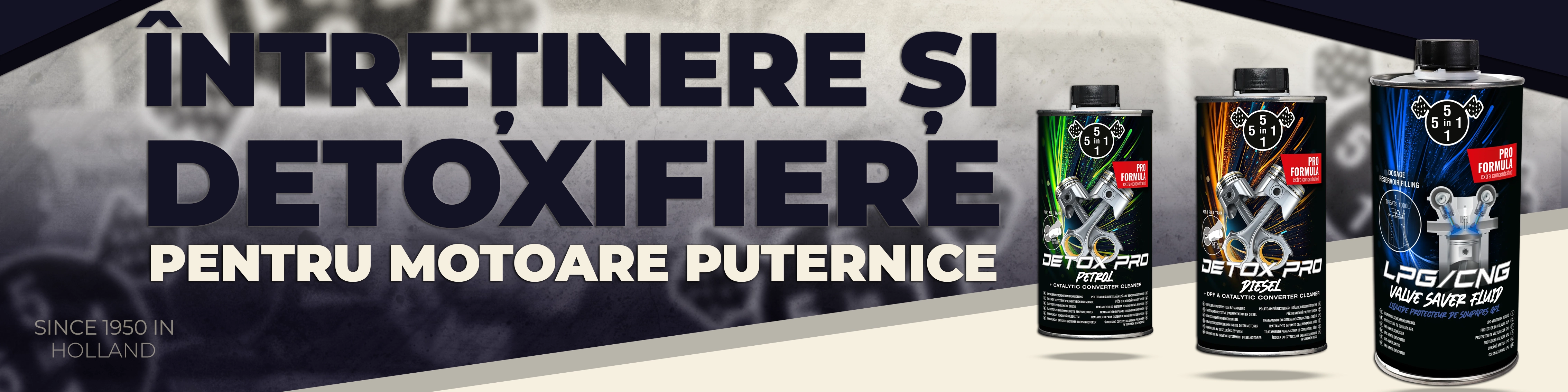 Intretinere si Detoxifiere